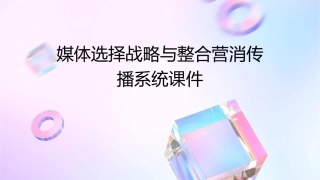 媒体选择战略与整合营消传播系统课件