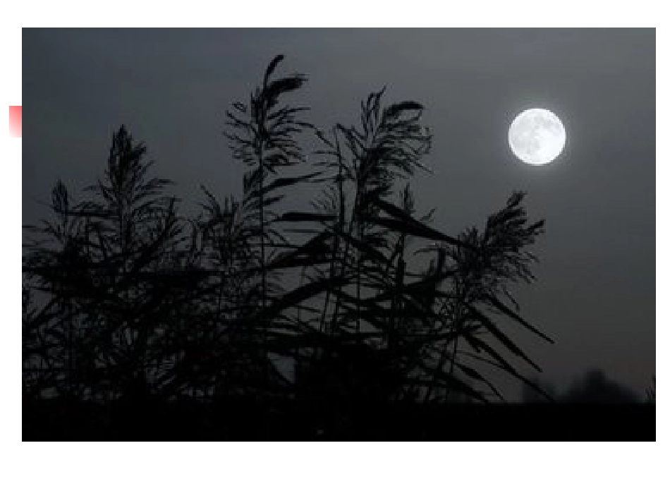 五年级语文上册《泊船瓜洲》课件_第3页