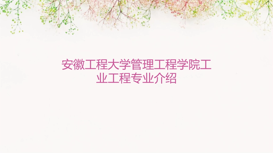 安徽工程大学管理工程学院工业工程专业介绍工业工程系课件_第1页