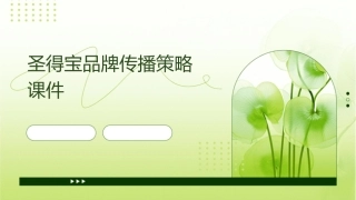 圣得宝品牌传播策略课件