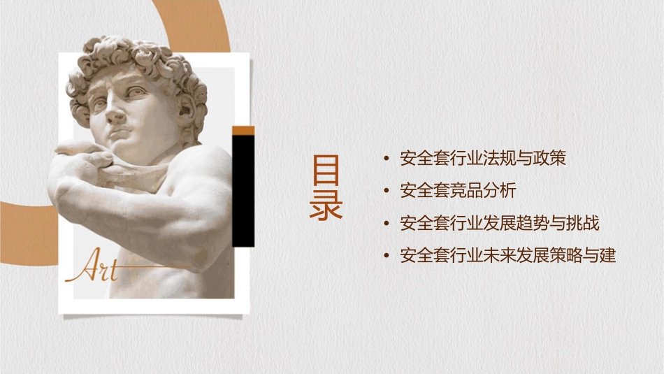 安全套行业知识暨竞品分析课件_第2页