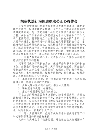 规范执法行为促进执法公正心得体会 