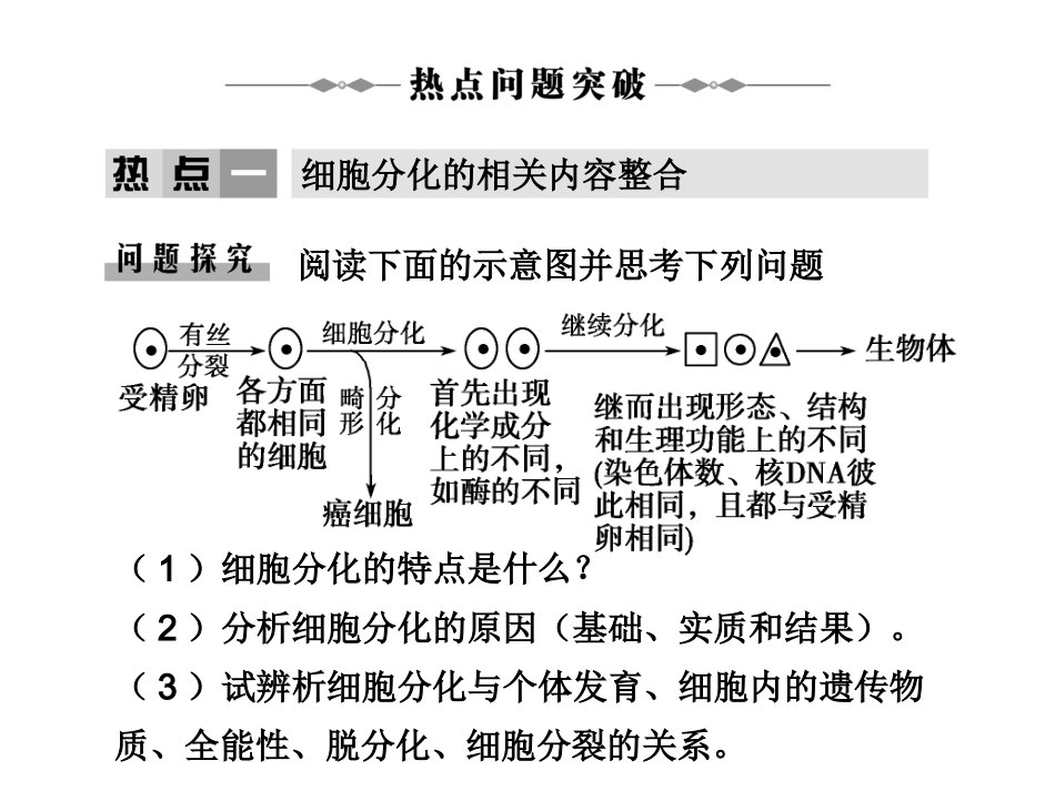 学案-细胞的分化、癌变、衰老和凋亡_第2页