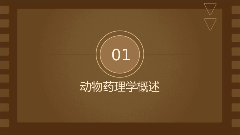 动物药理学 抗微生物药护理课件_第3页