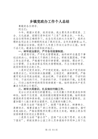 乡镇党政办工作个人总结