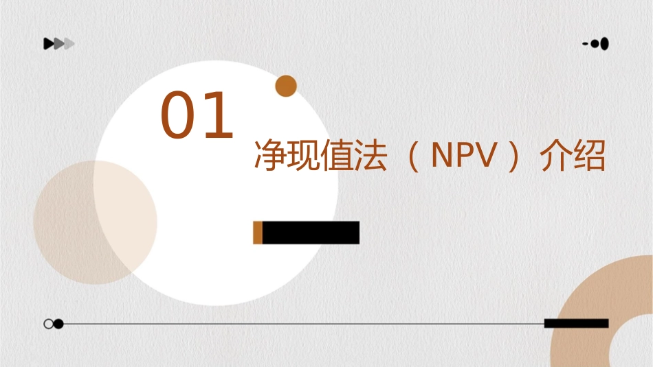 净现值法和资本预算法则课件_第3页