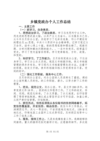 乡镇党政办个人工作总结 (2)