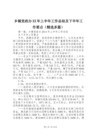 乡镇党政办XX年上半年工作总结及下半年工作要点(精选多篇)
