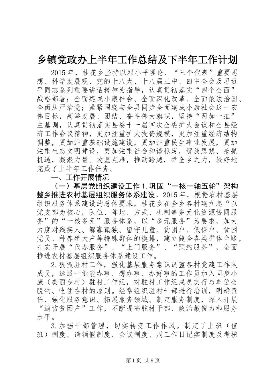 乡镇党政办上半年工作总结及下半年工作计划_第1页