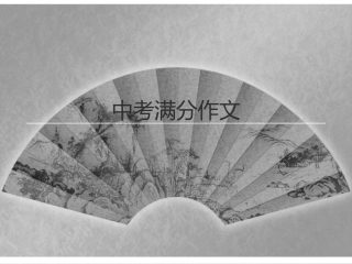 2011省中考满分作文