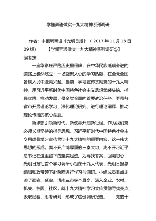 学懂弄通做实十九大精神系列调研