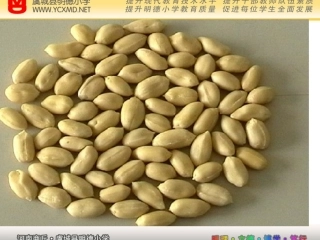 北师大版小学数学一年级下册12《数豆子》课件