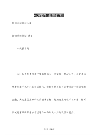 2024促销活动策划_5
