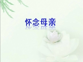 《怀念母亲》教学课件（第一课时）