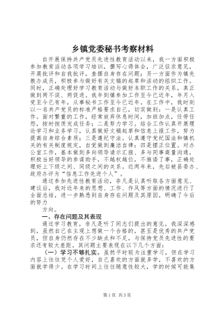 乡镇党委秘书考察材料