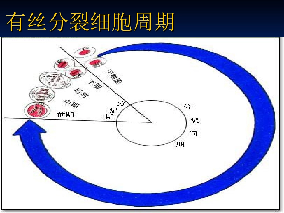 子细胞中的遗传物质与母细胞完全相同._第3页