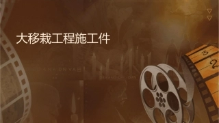 大树移栽工程施工课件