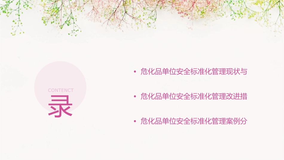 危化品单位安全标准化管理剖析课件_第2页