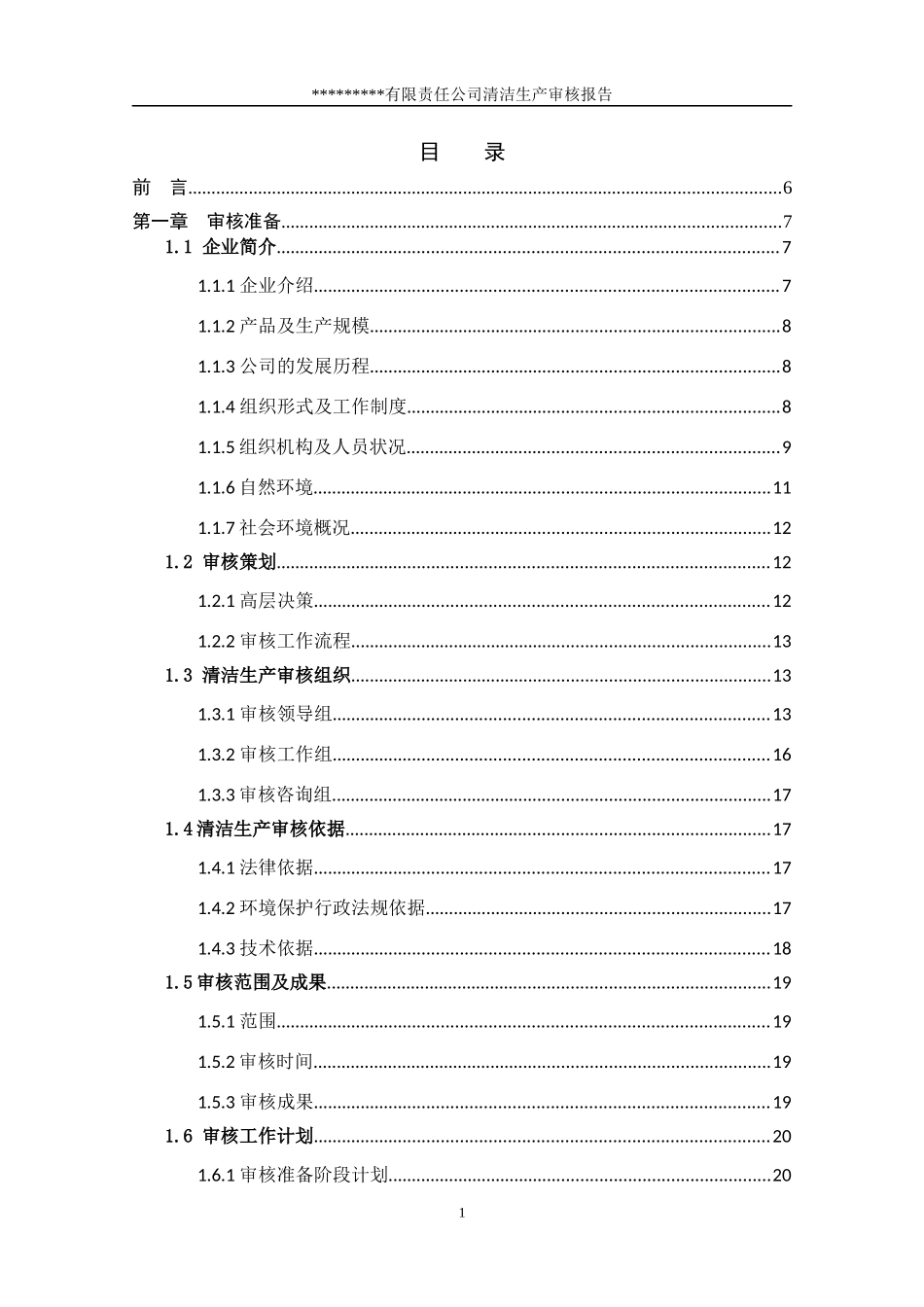 润丰公司清洁生产审核报告_第1页