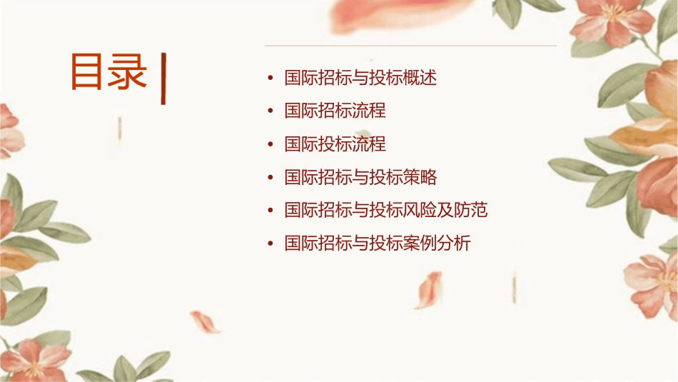 国际招标与投标国际招标与投标课件_第2页