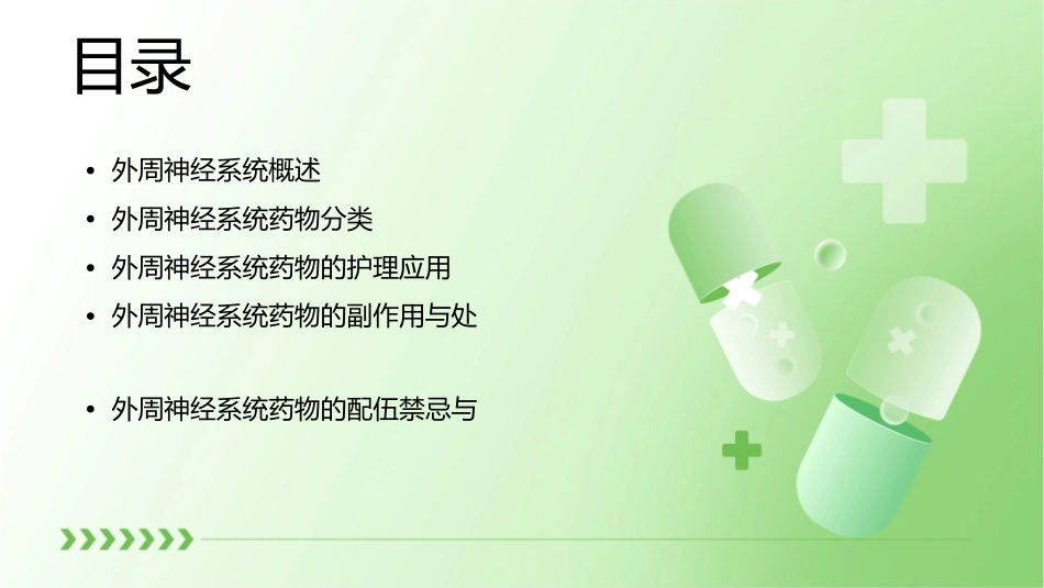 动物药理学 外周神经系统药物护理课件_第2页