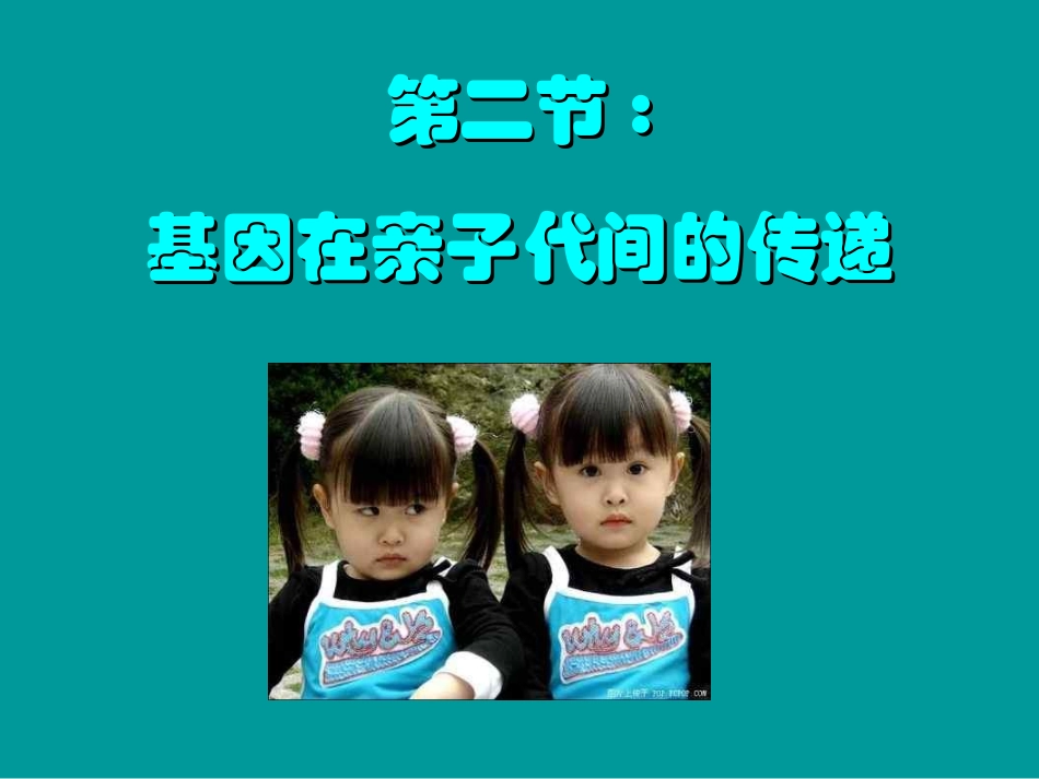 人教版__生物__第二节__基因在亲子间的传递_第2页