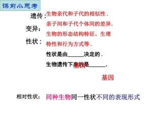 人教版__生物__第二节__基因在亲子间的传递
