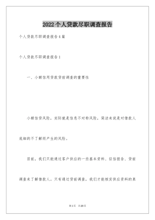 2024个人贷款尽职调查报告