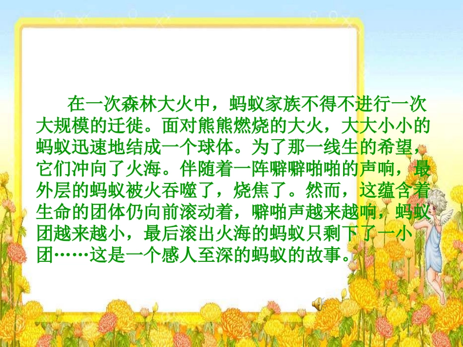 《斑羚飞渡》课件_第1页