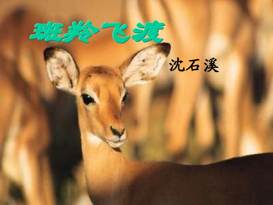 《斑羚飞渡》课件_第2页