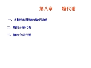 多糖和低聚糖的酶促降解