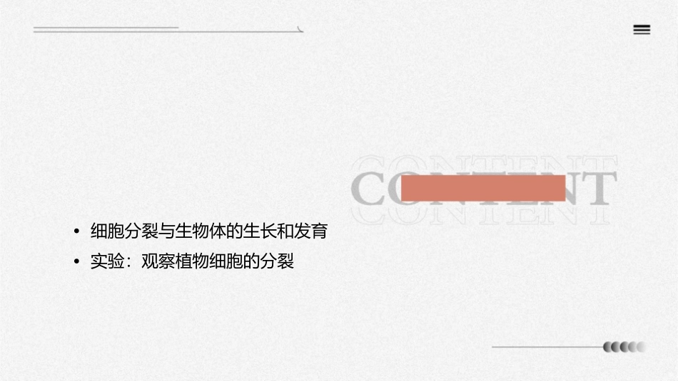 北师大版生物七上《细胞通过分裂而增殖》课件_第2页