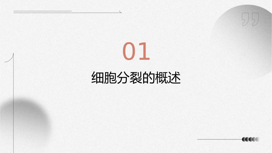 北师大版生物七上《细胞通过分裂而增殖》课件_第3页