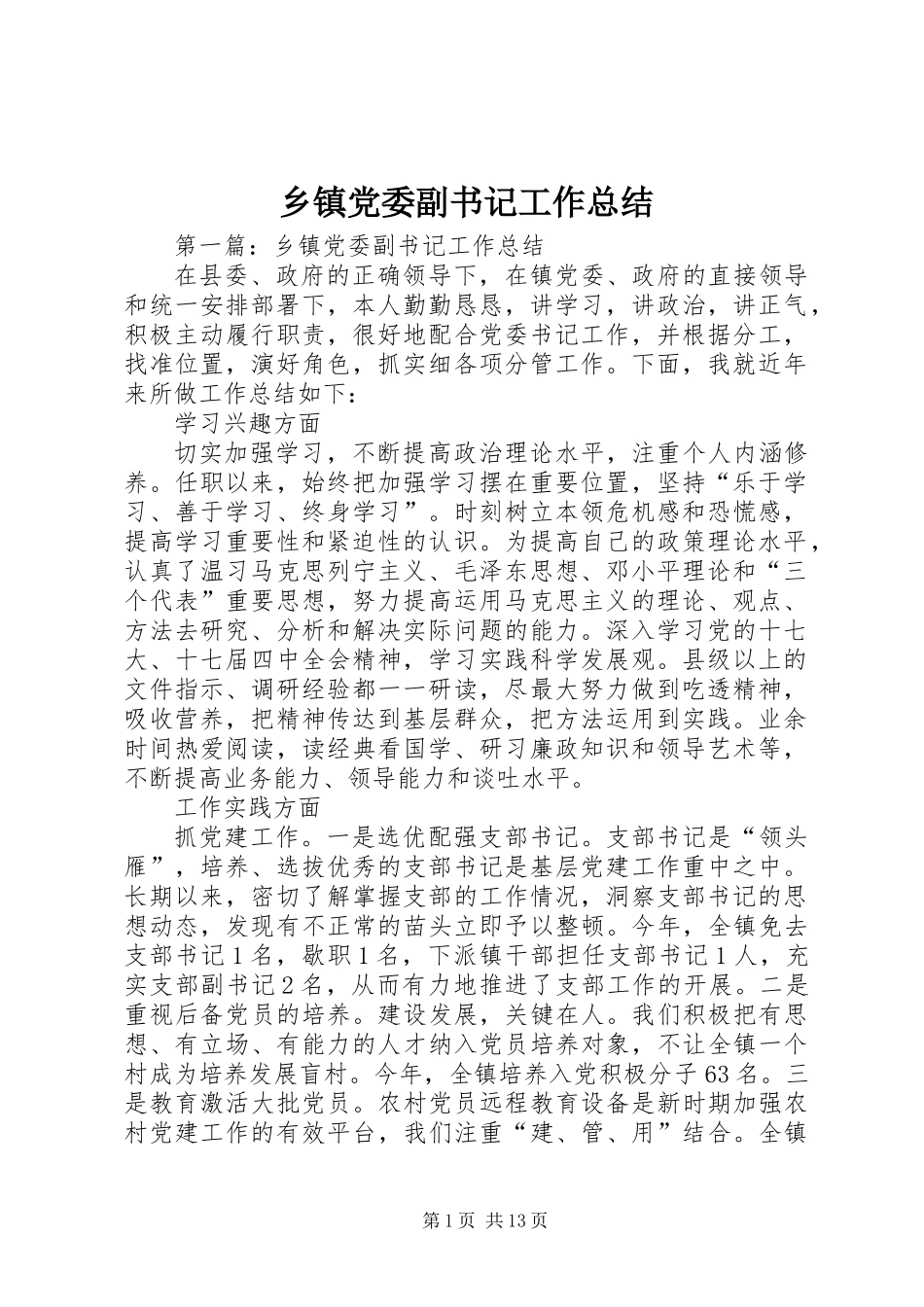 乡镇党委副书记工作总结_第1页