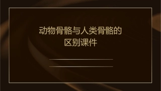 动物骨骼与人类骨骼的区别课件