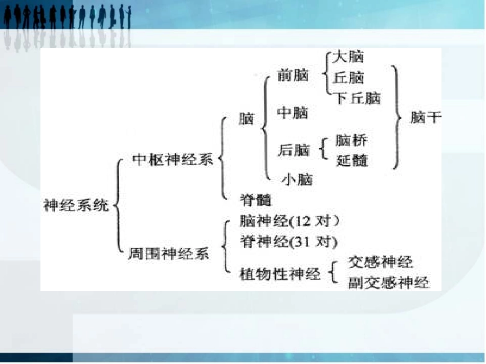 多发性硬化的护理_第2页