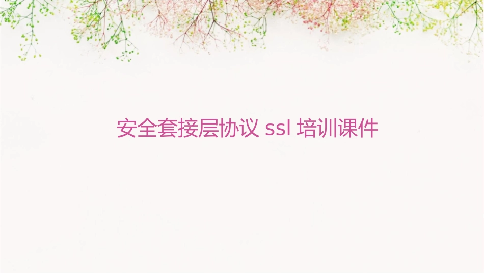 安全套接层协议SSL培训课件_第1页