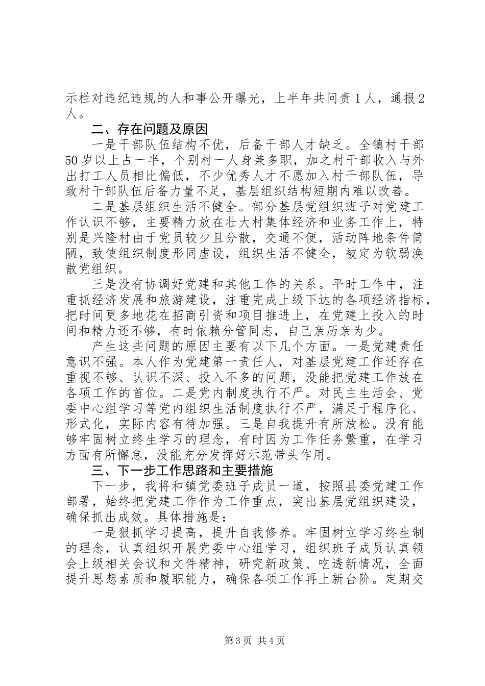 乡镇党委书记述职报告 (3)_第3页