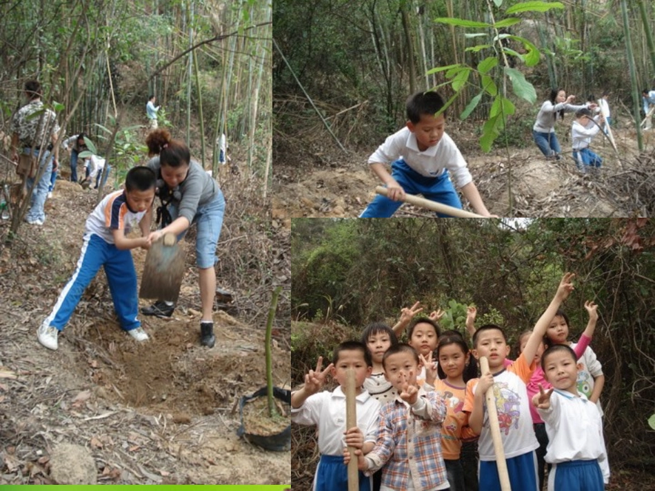 植树问题11_第1页