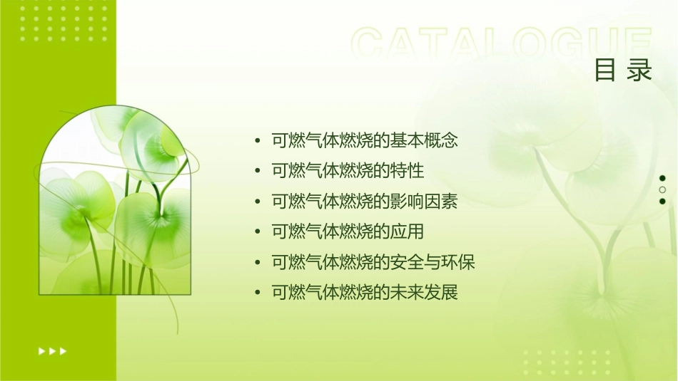 可燃气体燃烧课件_第2页