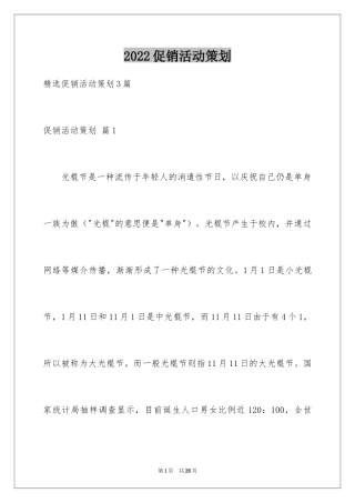 2024促销活动策划_116