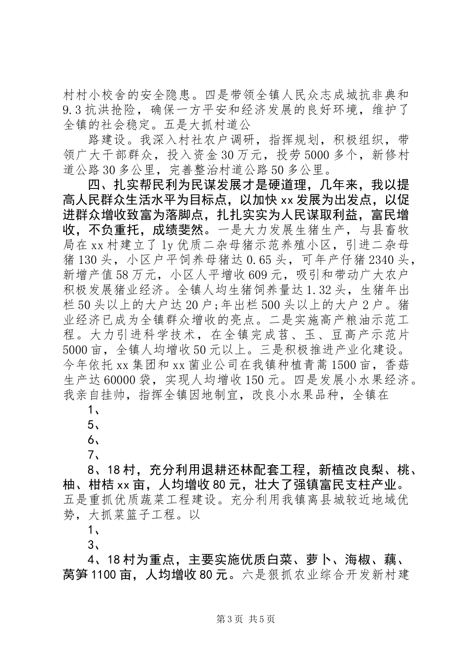 乡镇党委书记年终工作总结20XX年_第3页