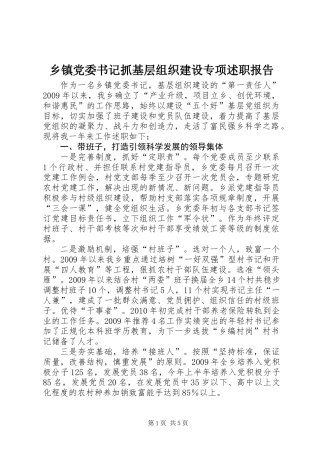 乡镇党委书记抓基层组织建设专项述职报告