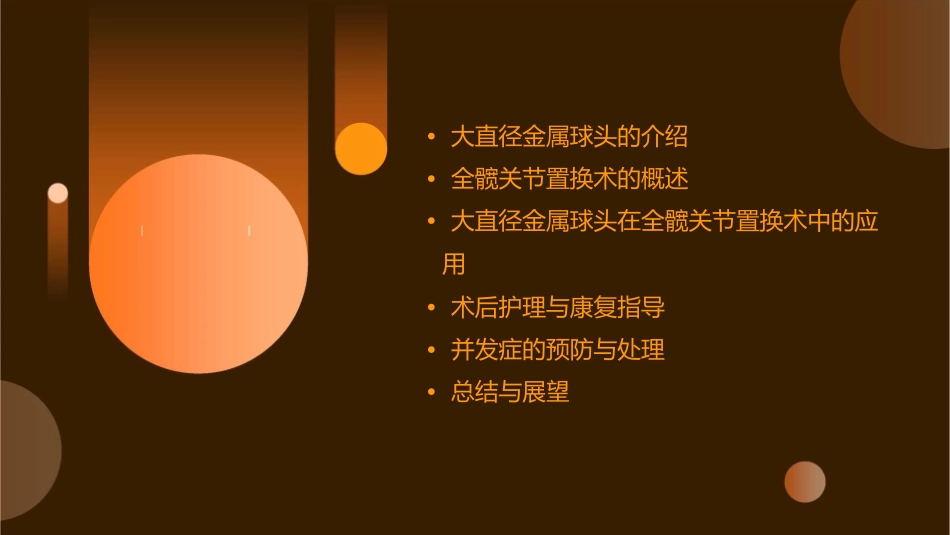 大直径金属球头在全髋关节置换术中的应用护理课件_第2页