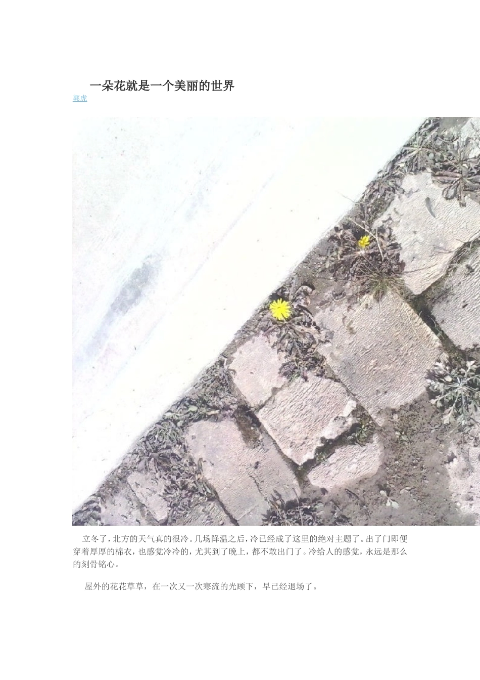 一朵花就是一个美丽的世界_第1页