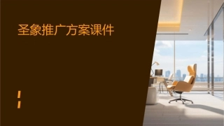 圣象推广方案课件