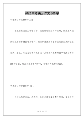 2024中考满分作文600字_94