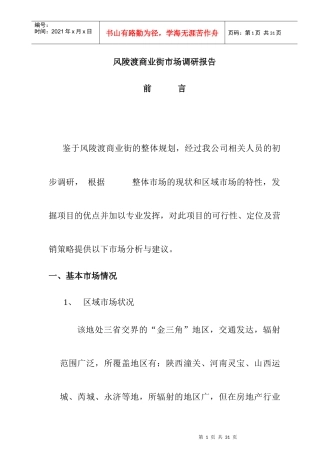 某商业街市场调研报告