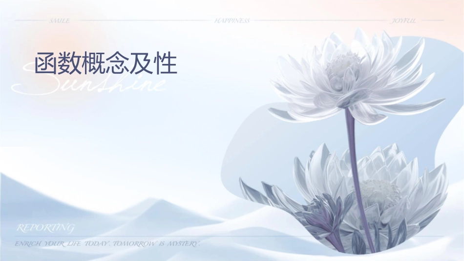 函数概念及性质课件_第1页