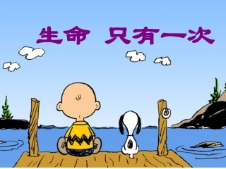 生命只有一次